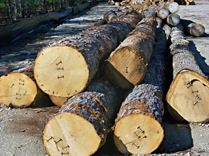 Miller's Tavern Log Yard